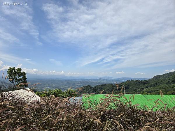 【住。在苗栗】大湖鄉–懶人露營初體驗！ 一泊四食還有舒適住宿