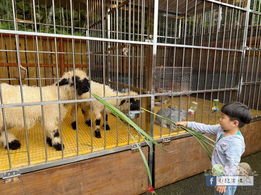 新竹縣尖石鄉泡湯秘境在哪？《新月塢溫泉》3個理由，帶你走進森林系溫泉的趣味。