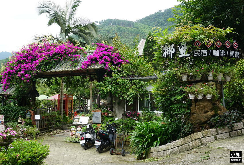 新竹尖石馬胎古道步道！百年茄苳樹 繩索吊橋，悠閒健行好去處。