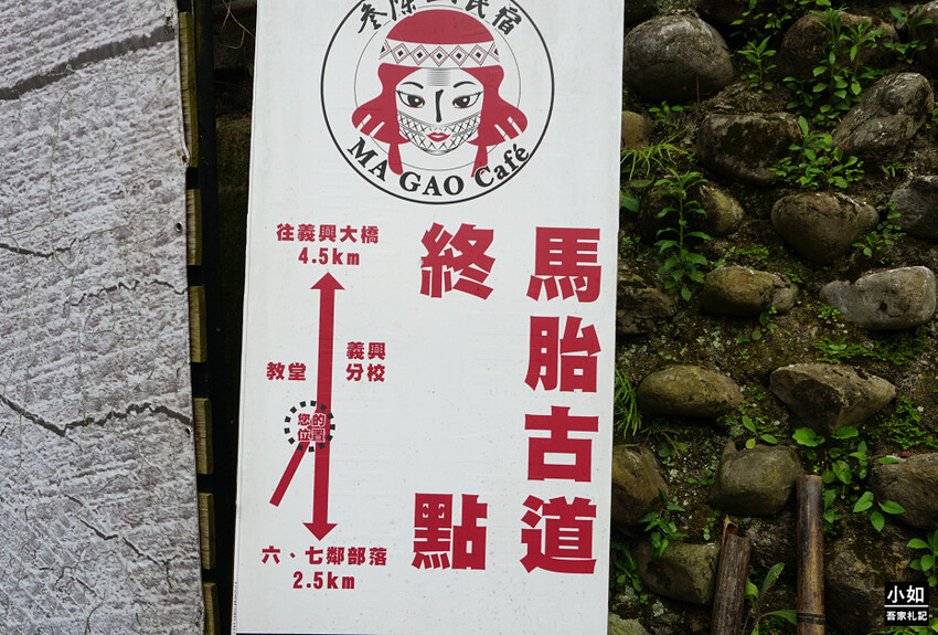 新竹尖石馬胎古道步道！百年茄苳樹 繩索吊橋，悠閒健行好去處。