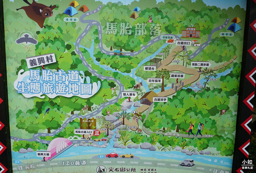 新竹尖石馬胎古道步道！百年茄苳樹 繩索吊橋，悠閒健行好去處。