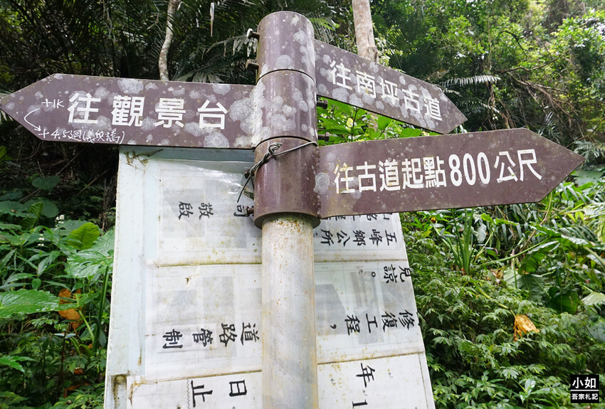 新竹尖石馬胎古道步道！百年茄苳樹 繩索吊橋，悠閒健行好去處。