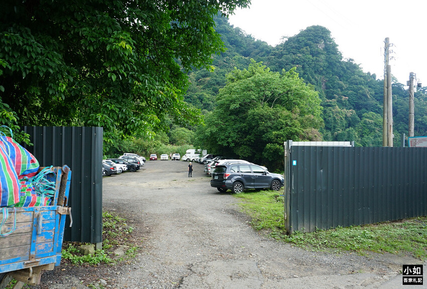 新竹尖石馬胎古道步道！百年茄苳樹 繩索吊橋，悠閒健行好去處。