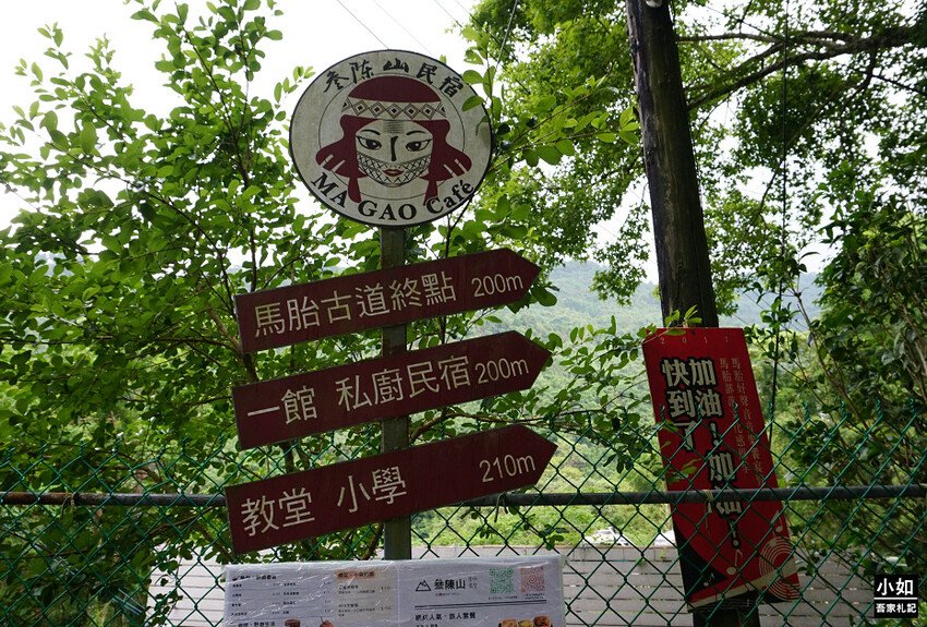 新竹尖石馬胎古道步道！百年茄苳樹 繩索吊橋，悠閒健行好去處。