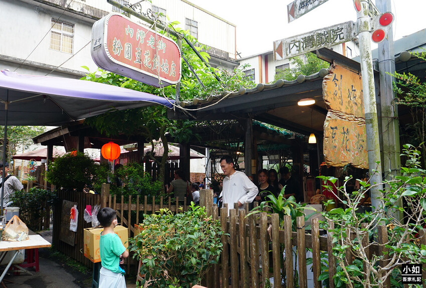 新竹尖石馬胎古道步道！百年茄苳樹 繩索吊橋，悠閒健行好去處。