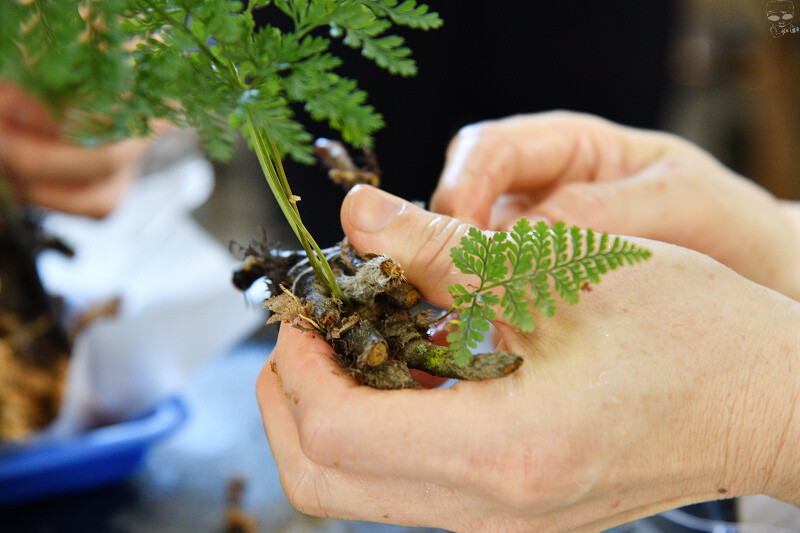 【台中旅遊推薦】『跟著飛鼠去旅行-部落尋音之旅-裡冷部落』,