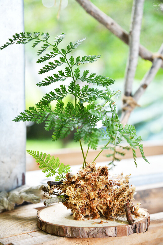 【台中旅遊推薦】『跟著飛鼠去旅行-部落尋音之旅-裡冷部落』,