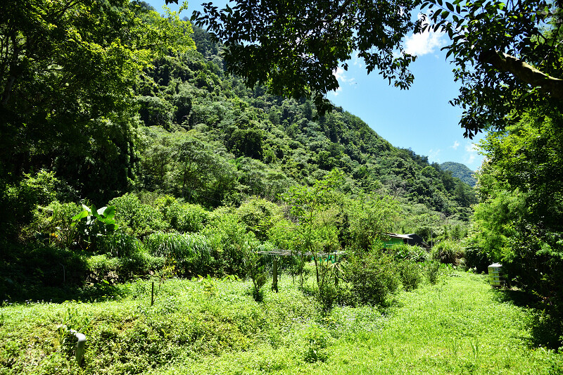 【台中旅遊推薦】『跟著飛鼠去旅行-部落尋音之旅-裡冷部落』,