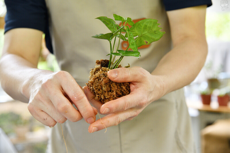 【台中旅遊推薦】『跟著飛鼠去旅行-部落尋音之旅-裡冷部落』,