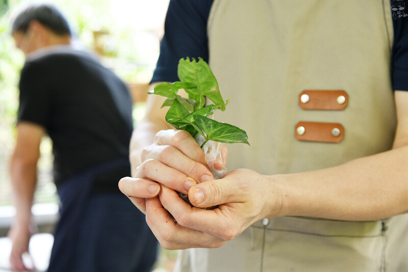 【台中旅遊推薦】『跟著飛鼠去旅行-部落尋音之旅-裡冷部落』,