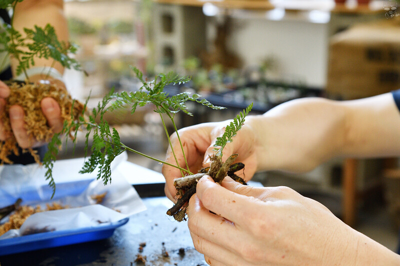 【台中旅遊推薦】『跟著飛鼠去旅行-部落尋音之旅-裡冷部落』,