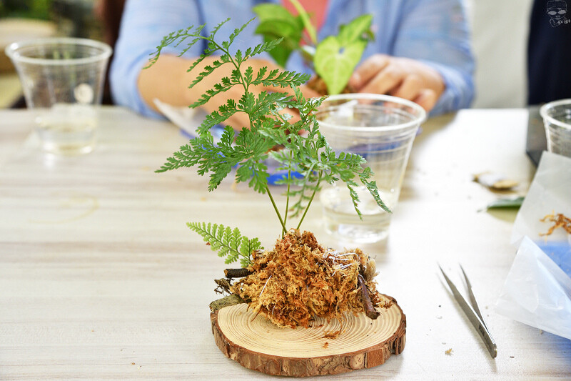 【台中旅遊推薦】『跟著飛鼠去旅行-部落尋音之旅-裡冷部落』,