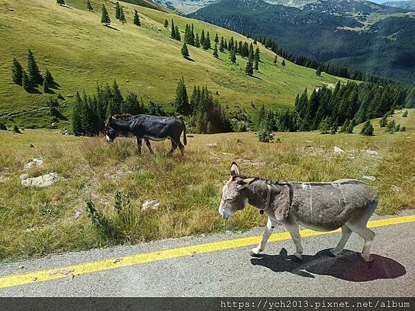沿著蜿蜒小路翻越美麗高聳的喀爾巴阡山，冷風吹拂的高山驛站休息