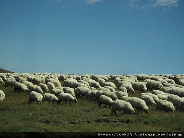 沿著蜿蜒小路翻越美麗高聳的喀爾巴阡山，冷風吹拂的高山驛站休息