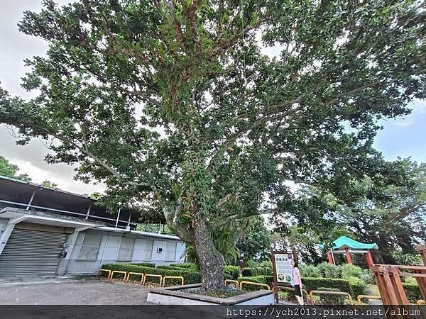 來去花蓮新城老街與天主堂逛逛