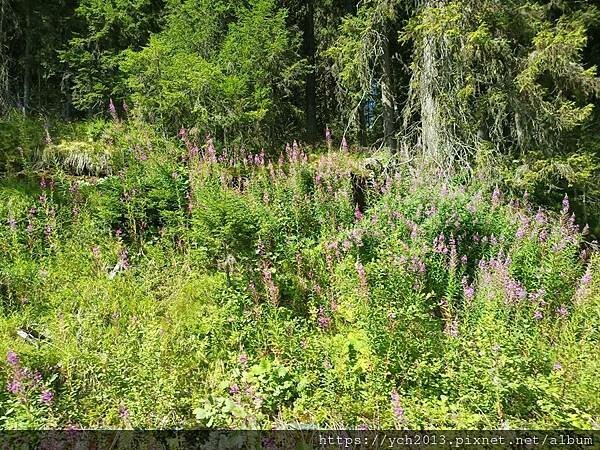 沿著蜿蜒小路翻越美麗高聳的喀爾巴阡山，冷風吹拂的高山驛站休息