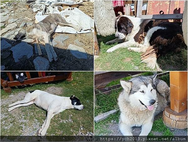 沿著蜿蜒小路翻越美麗高聳的喀爾巴阡山，冷風吹拂的高山驛站休息