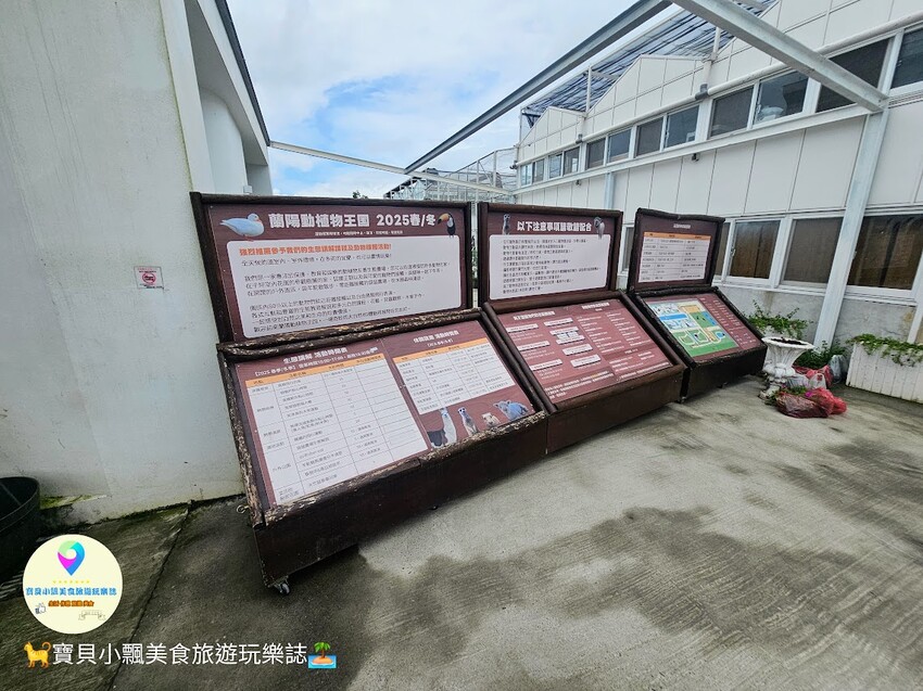 免飛日本！宜蘭蘭陽動植物王國實現您與狐獴水豚親密近距離接觸的動物夢想