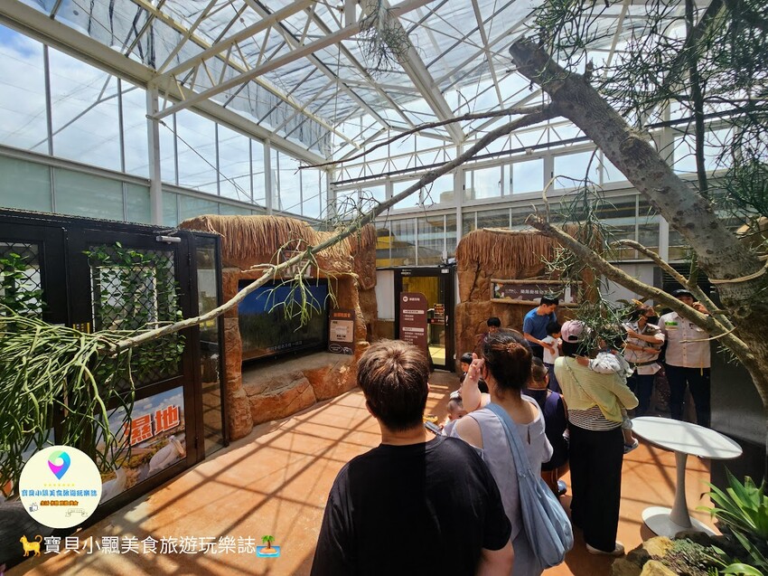 免飛日本！宜蘭蘭陽動植物王國實現您與狐獴水豚親密近距離接觸的動物夢想
