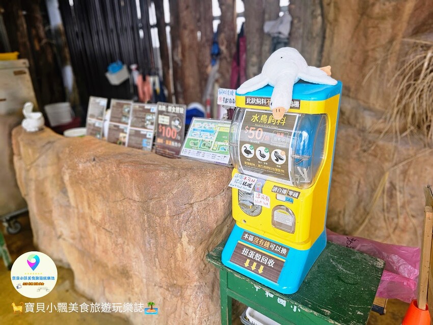 免飛日本！宜蘭蘭陽動植物王國實現您與狐獴水豚親密近距離接觸的動物夢想