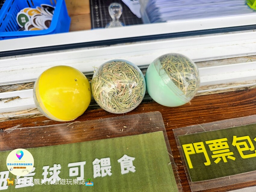 免飛日本！宜蘭蘭陽動植物王國實現您與狐獴水豚親密近距離接觸的動物夢想