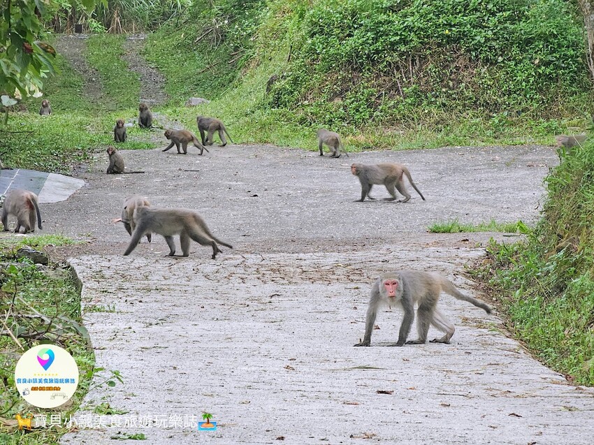 探索宜蘭香格里拉休閒農場秘境!享檜木香住宿與豐富農場體驗