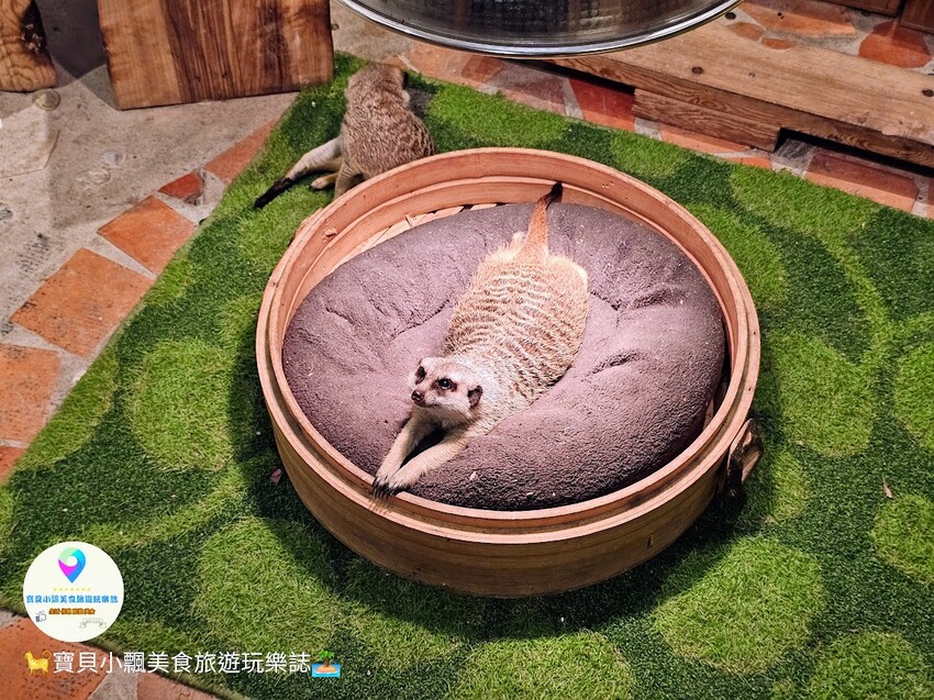 探索宜蘭香格里拉休閒農場秘境!享檜木香住宿與豐富農場體驗