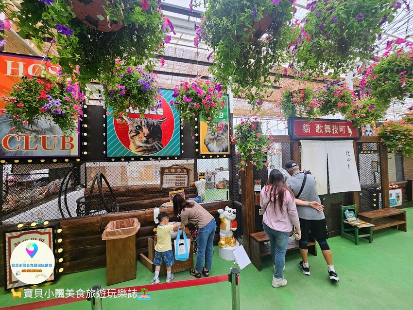 免飛日本！宜蘭蘭陽動植物王國實現您與狐獴水豚親密近距離接觸的動物夢想