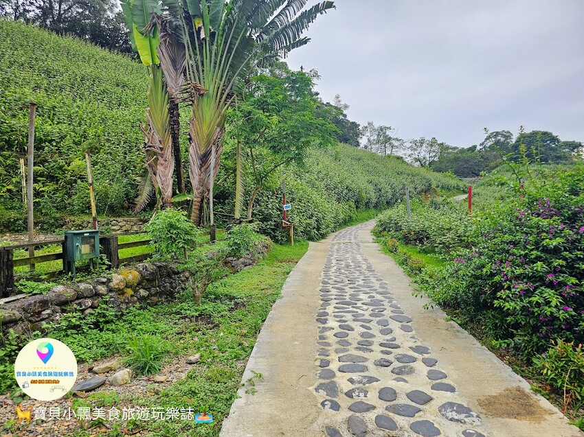 探索宜蘭香格里拉休閒農場秘境!享檜木香住宿與豐富農場體驗