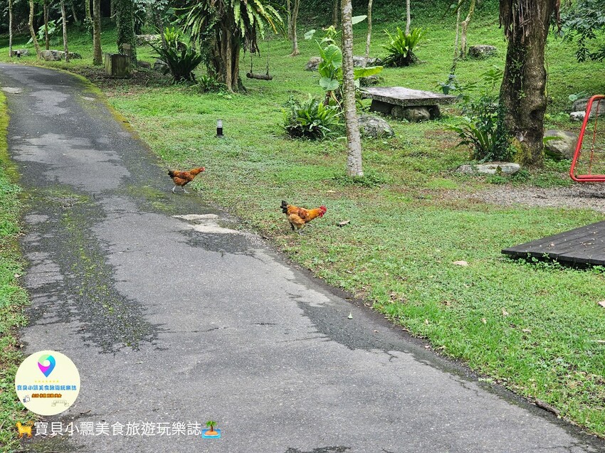 探索宜蘭香格里拉休閒農場秘境!享檜木香住宿與豐富農場體驗