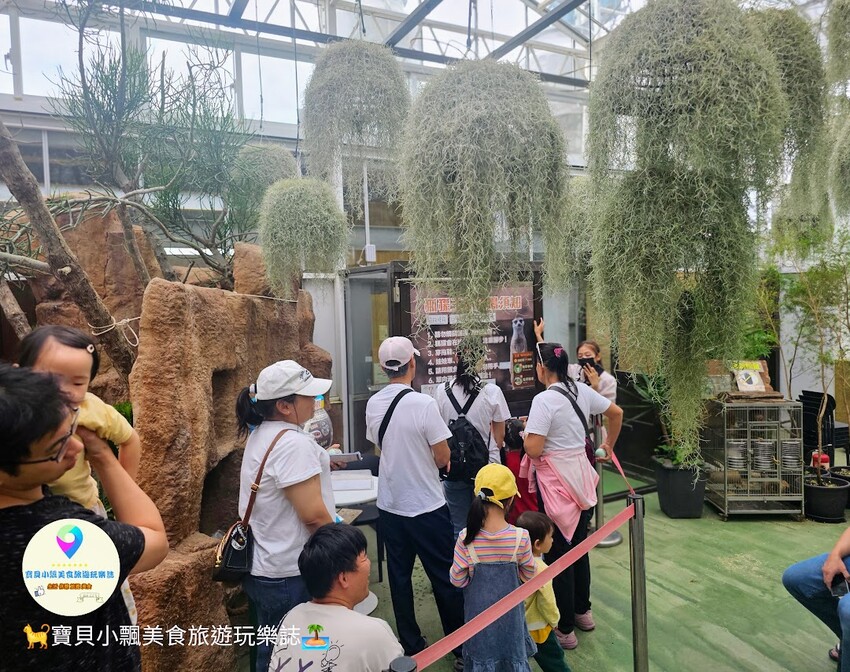 免飛日本！宜蘭蘭陽動植物王國實現您與狐獴水豚親密近距離接觸的動物夢想