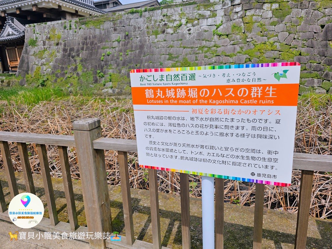 暢遊鹿兒島！黎明館與鶴丸城跡，感受歷史脈絡與自然風光