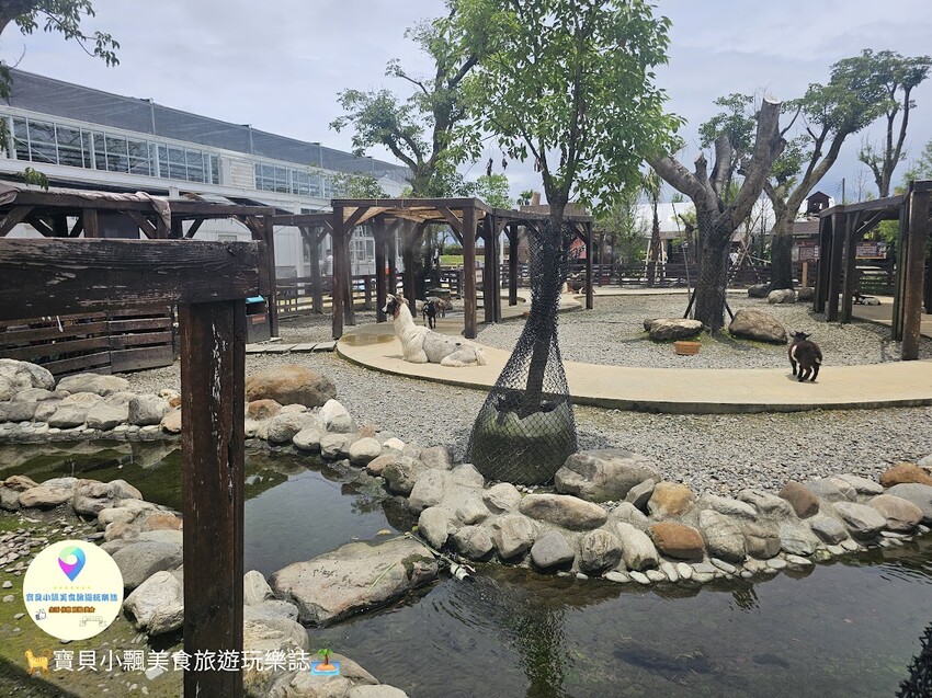 免飛日本！宜蘭蘭陽動植物王國實現您與狐獴水豚親密近距離接觸的動物夢想