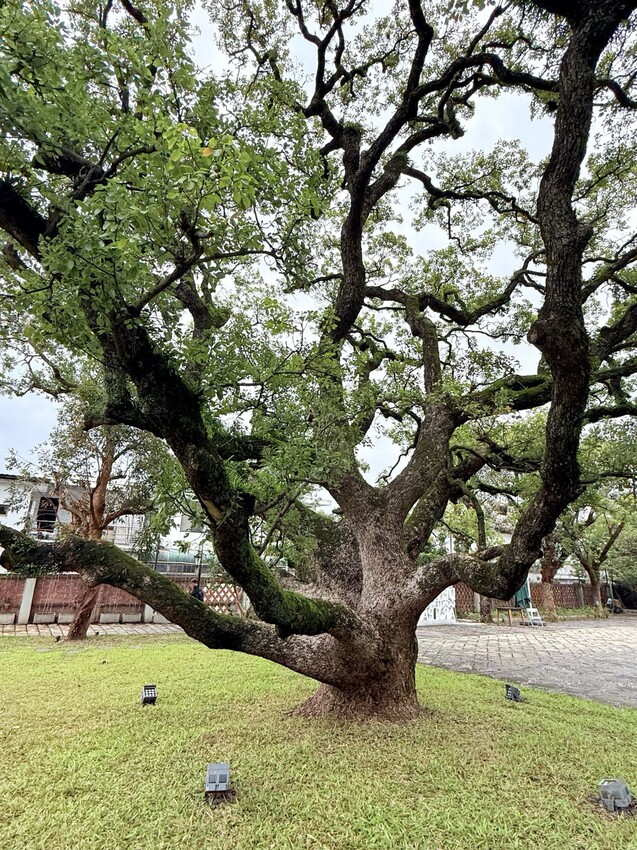 淡水巫登益美術館新北館：百年古蹟內的藝術美術館。超美庭園