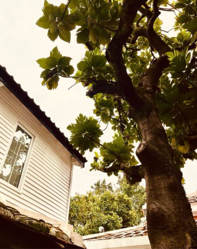 淡水巫登益美術館新北館：百年古蹟內的藝術美術館。超美庭園