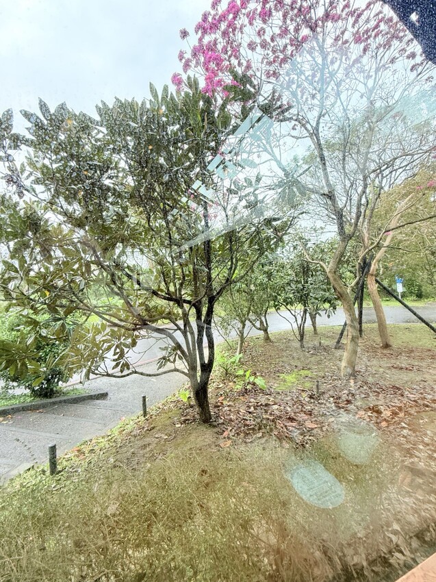 新北淡水一日遊：文藝森林系咖啡廳星巴克雲門門市。鄰近淡水河堤景色優美的真理大學