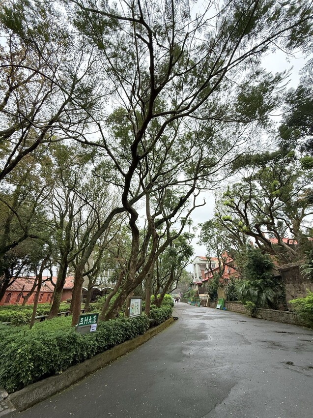 新北淡水一日遊：文藝森林系咖啡廳星巴克雲門門市。鄰近淡水河堤景色優美的真理大學