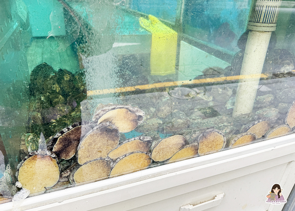 【釜山西面美食】濟州家海鮮粥釜山西面店附菜單|超夯鮑魚粥!濟