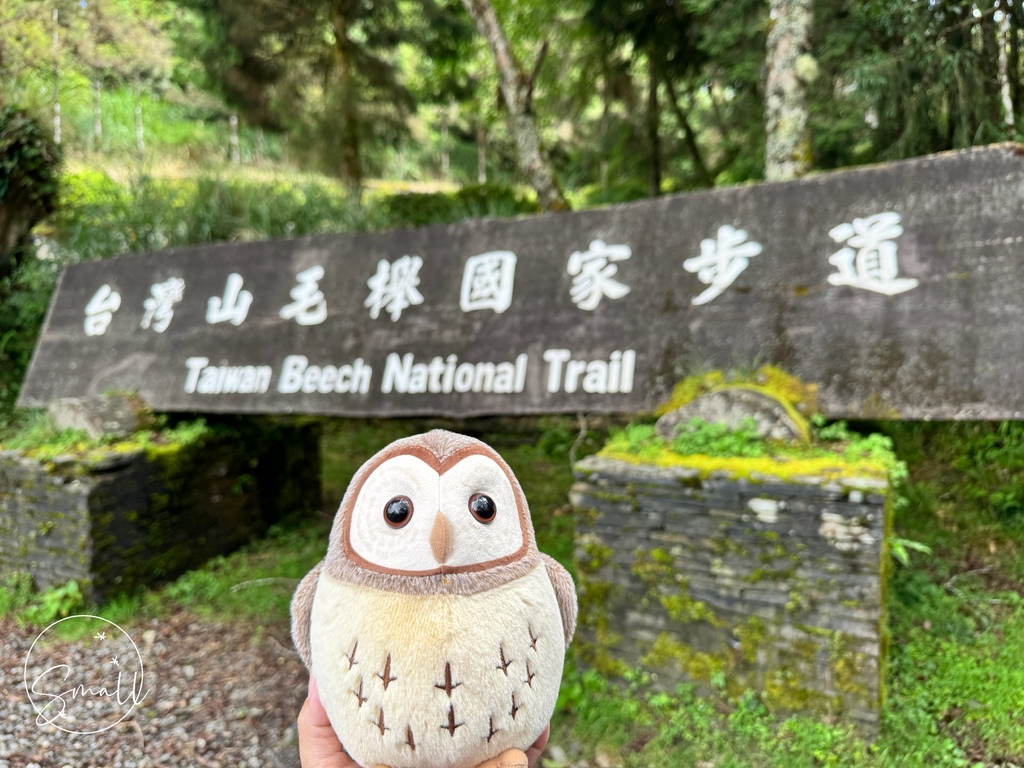 太平山限定【灰林鴞布偶娃娃】一趟旅程一定要有獨一無二的紀念品 太平山限定【灰林鴞布偶娃娃】一趟旅程一定要有獨一無二的紀念品