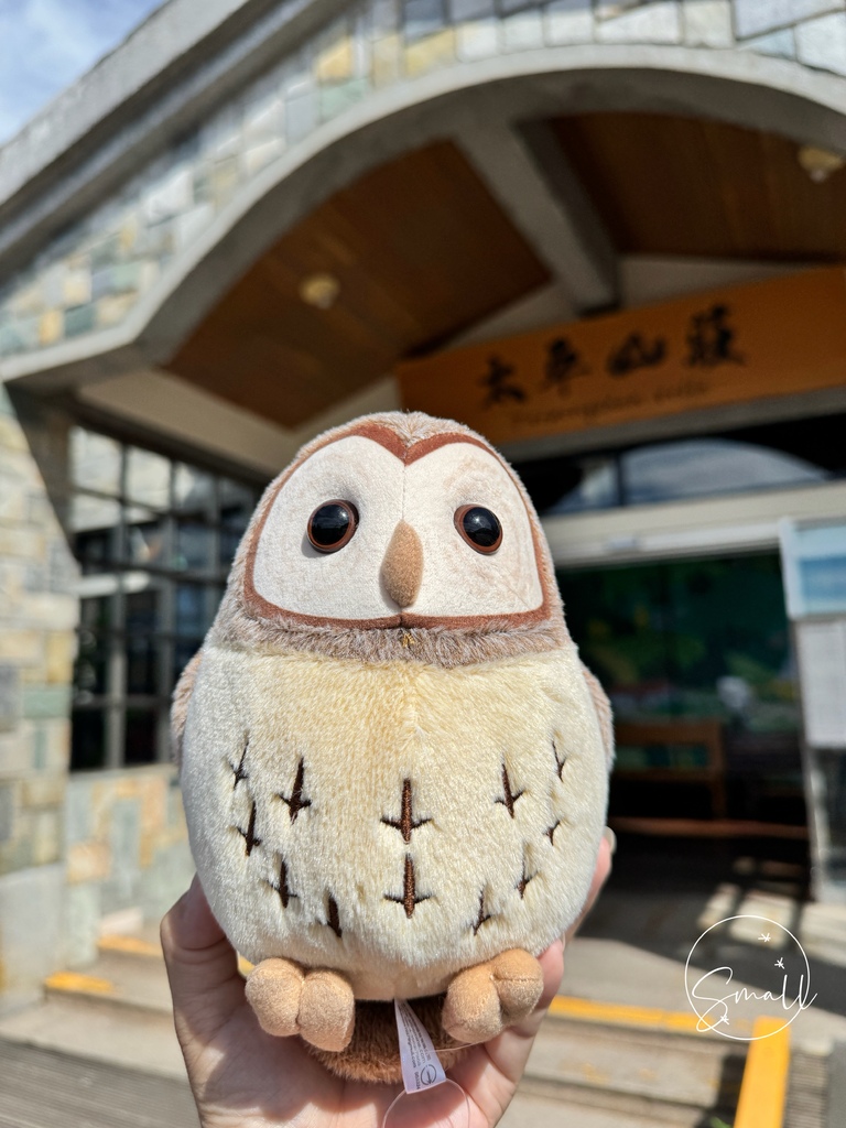 太平山限定【灰林鴞布偶娃娃】一趟旅程一定要有獨一無二的紀念品 太平山限定【灰林鴞布偶娃娃】一趟旅程一定要有獨一無二的紀念品