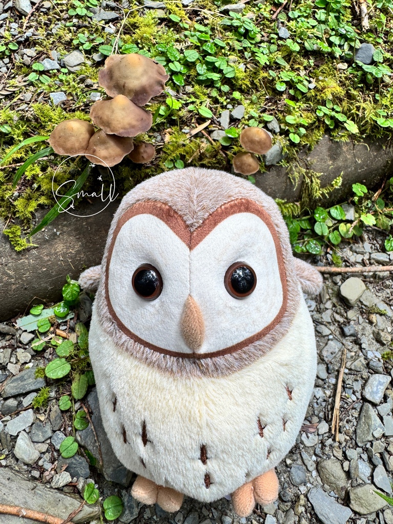 太平山限定【灰林鴞布偶娃娃】一趟旅程一定要有獨一無二的紀念品 太平山限定【灰林鴞布偶娃娃】一趟旅程一定要有獨一無二的紀念品