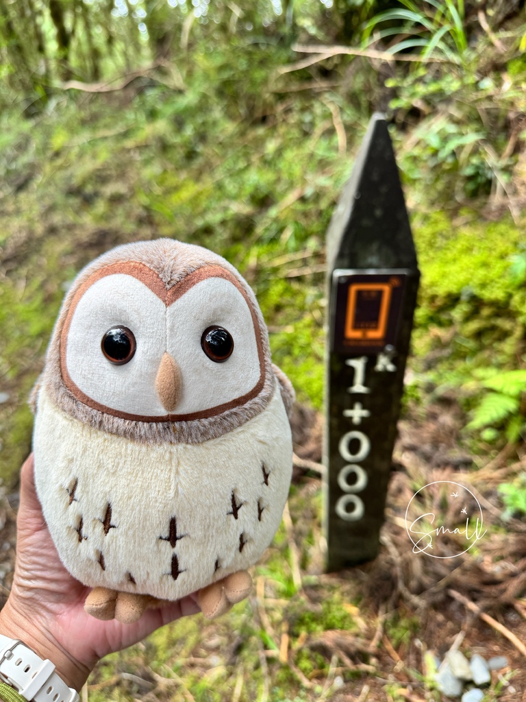 太平山限定【灰林鴞布偶娃娃】一趟旅程一定要有獨一無二的紀念品 太平山限定【灰林鴞布偶娃娃】一趟旅程一定要有獨一無二的紀念品