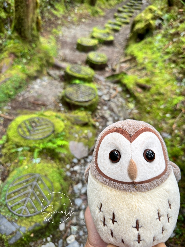 太平山限定【灰林鴞布偶娃娃】一趟旅程一定要有獨一無二的紀念品 太平山限定【灰林鴞布偶娃娃】一趟旅程一定要有獨一無二的紀念品