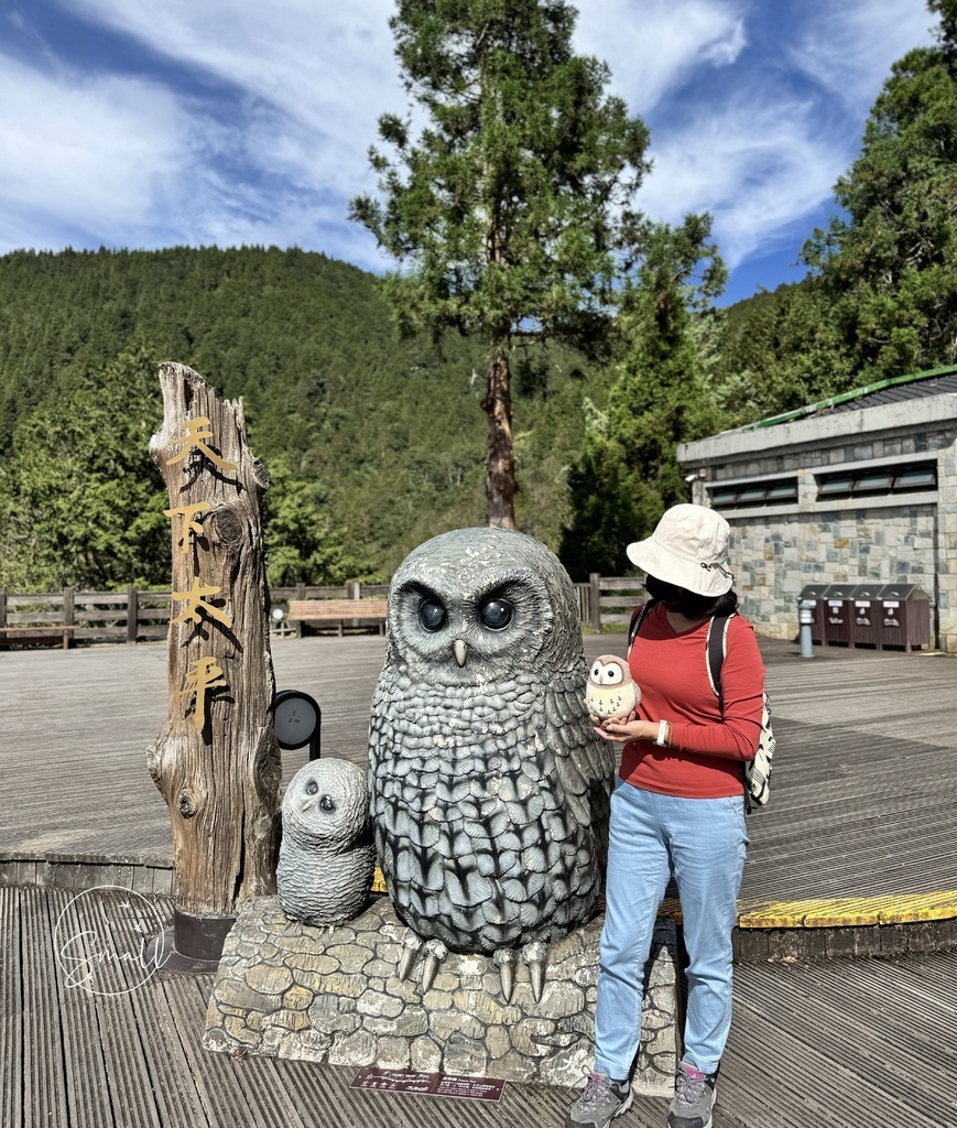 太平山限定【灰林鴞布偶娃娃】一趟旅程一定要有獨一無二的紀念品 太平山限定【灰林鴞布偶娃娃】一趟旅程一定要有獨一無二的紀念品