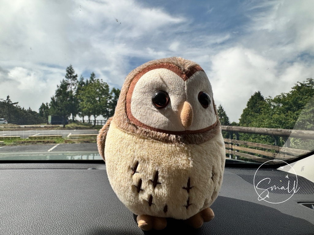 太平山限定【灰林鴞布偶娃娃】一趟旅程一定要有獨一無二的紀念品 太平山限定【灰林鴞布偶娃娃】一趟旅程一定要有獨一無二的紀念品