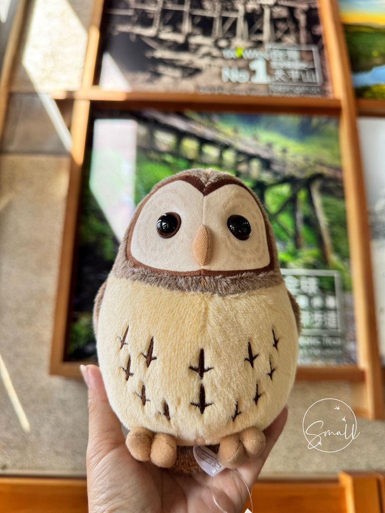 太平山限定【灰林鴞布偶娃娃】一趟旅程一定要有獨一無二的紀念品 太平山限定【灰林鴞布偶娃娃】一趟旅程一定要有獨一無二的紀念品