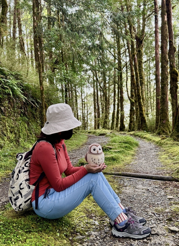 太平山限定【灰林鴞布偶娃娃】一趟旅程一定要有獨一無二的紀念品 太平山限定【灰林鴞布偶娃娃】一趟旅程一定要有獨一無二的紀念品