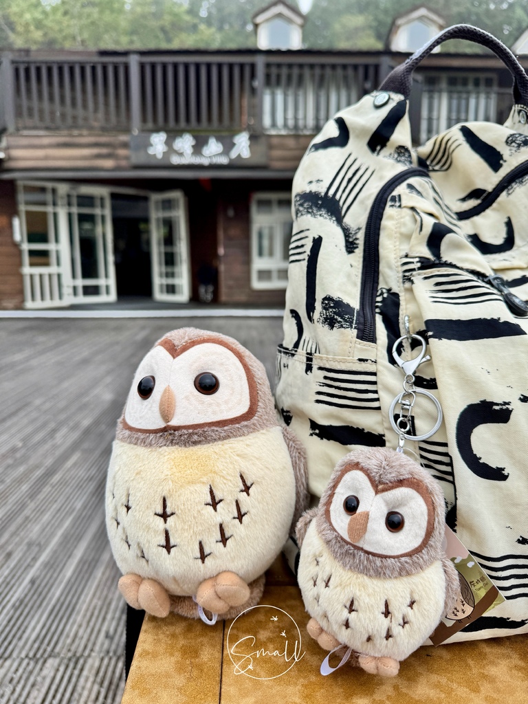 太平山限定【灰林鴞布偶娃娃】一趟旅程一定要有獨一無二的紀念品 太平山限定【灰林鴞布偶娃娃】一趟旅程一定要有獨一無二的紀念品