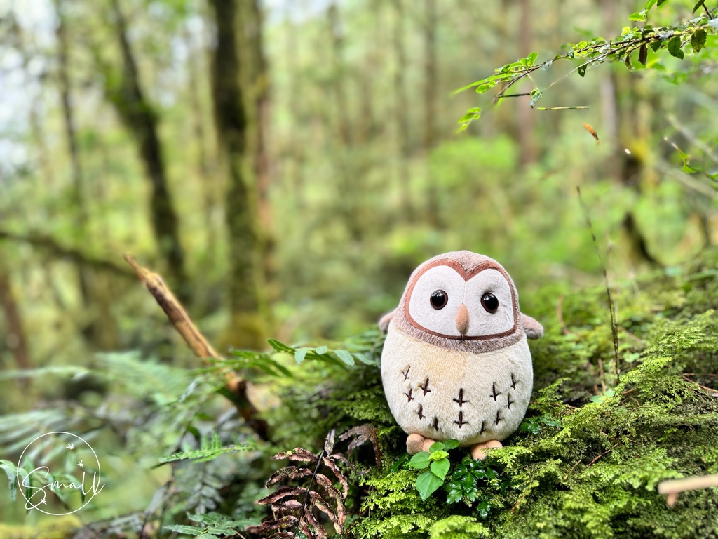 太平山限定【灰林鴞布偶娃娃】一趟旅程一定要有獨一無二的紀念品 太平山限定【灰林鴞布偶娃娃】一趟旅程一定要有獨一無二的紀念品