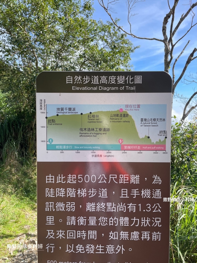 宜蘭景點》台灣山毛櫸國家步道|走進太平山的檜木杉林裡,漫步在 宜蘭景點》台灣山毛櫸國家步道|走進太平山的檜木杉林裡,漫步在